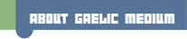 Graphic Text: About Gaelic medium