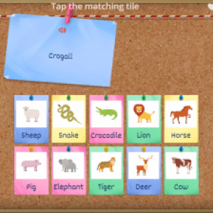 Link to 'animals' word challenge